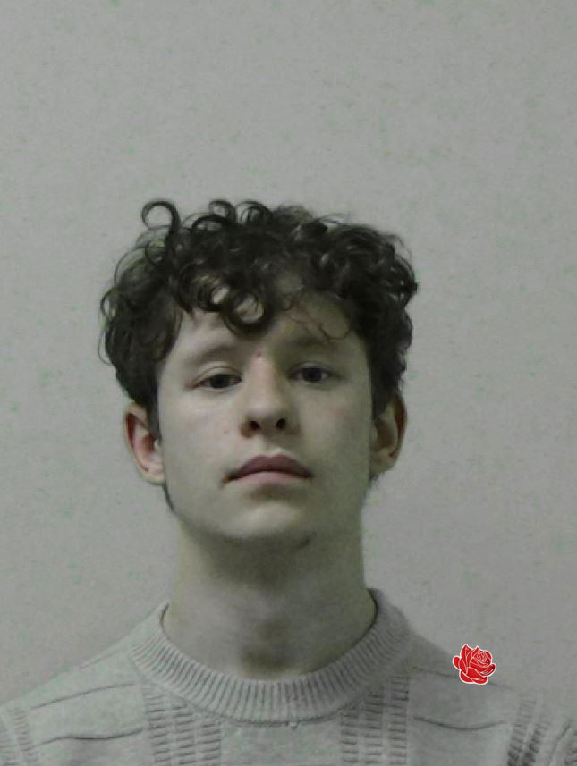 Profile image of Devon Critchlow
